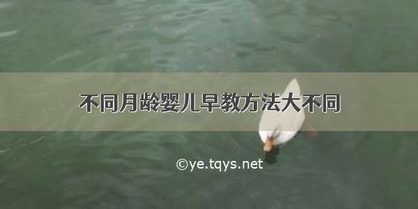 不同月龄婴儿早教方法大不同