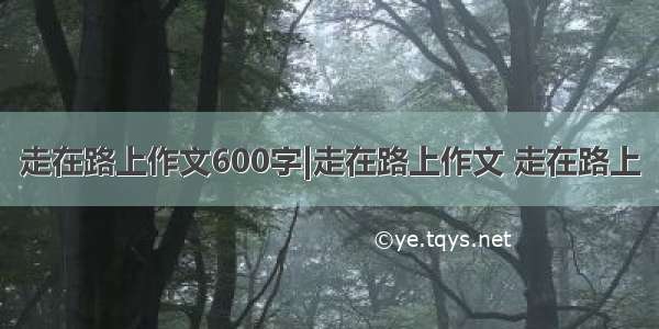 走在路上作文600字|走在路上作文 走在路上