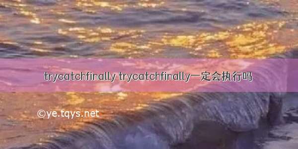 trycatchfinally trycatchfinally一定会执行吗