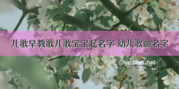 儿歌早教歌儿歌宝宝起名字 幼儿歌曲名字