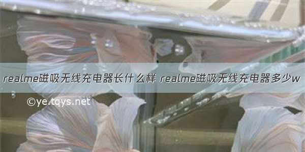 realme磁吸无线充电器长什么样 realme磁吸无线充电器多少w