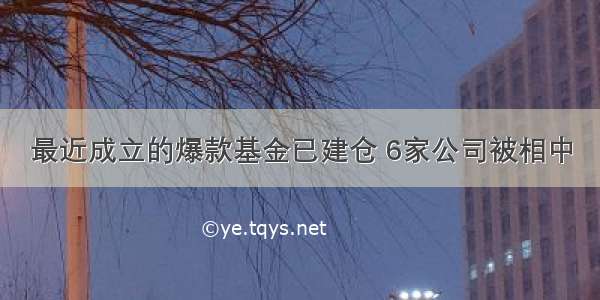 最近成立的爆款基金已建仓 6家公司被相中