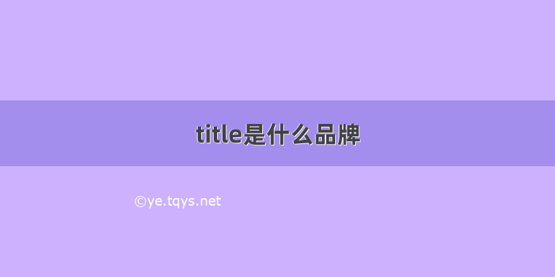 title是什么品牌