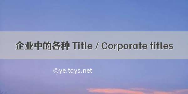 企业中的各种 Title / Corporate titles