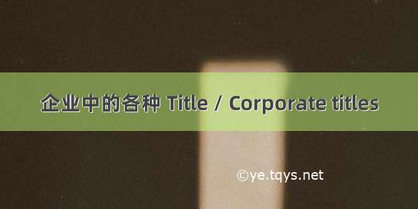 企业中的各种 Title / Corporate titles