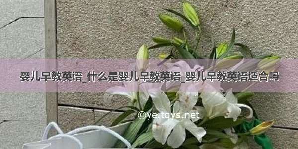 婴儿早教英语_什么是婴儿早教英语_婴儿早教英语适合吗