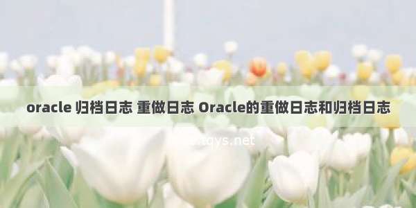 oracle 归档日志 重做日志 Oracle的重做日志和归档日志