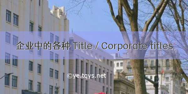 企业中的各种 Title / Corporate titles