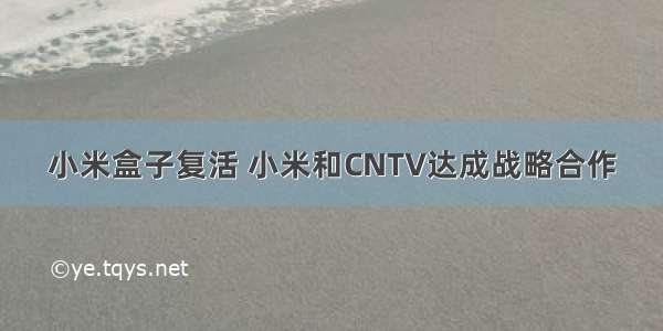小米盒子复活 小米和CNTV达成战略合作
