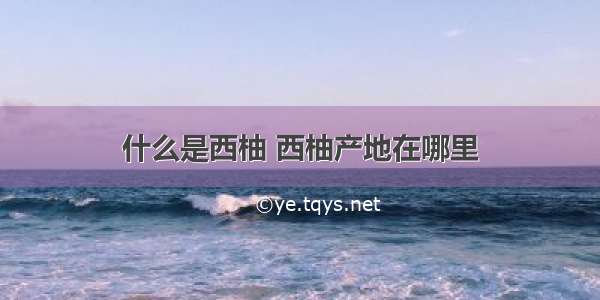 什么是西柚 西柚产地在哪里