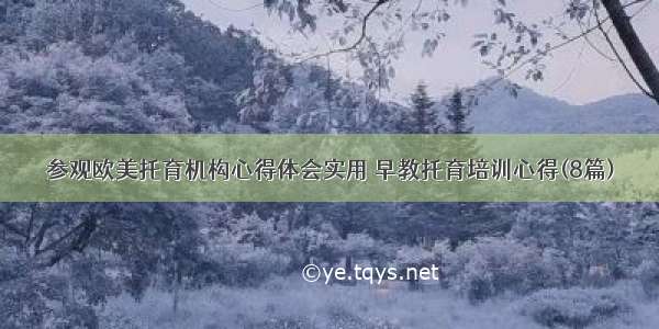 参观欧美托育机构心得体会实用 早教托育培训心得(8篇)