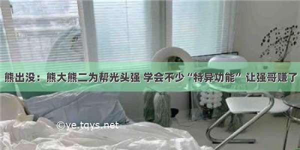 熊出没：熊大熊二为帮光头强 学会不少“特异功能” 让强哥赚了