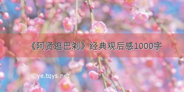 《阿贤逛巴剎》经典观后感1000字