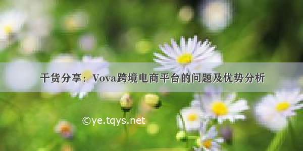 干货分享：Vova跨境电商平台的问题及优势分析