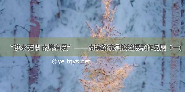 “洪水无情 南岸有爱”——南滨路抗洪抢险摄影作品展（一）