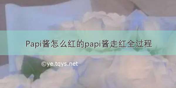 Papi酱怎么红的papi酱走红全过程