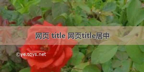 网页 title 网页title居中