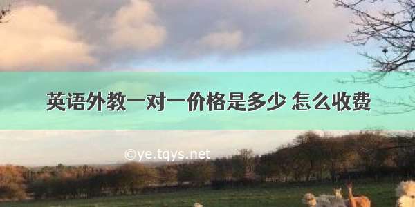 英语外教一对一价格是多少 怎么收费