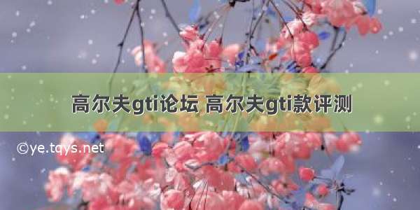 高尔夫gti论坛 高尔夫gti款评测