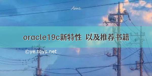 oracle19c新特性  以及推荐书籍