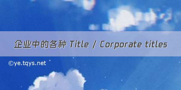 企业中的各种 Title / Corporate titles