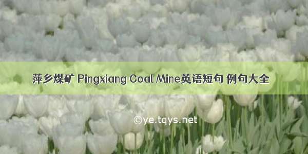 萍乡煤矿 Pingxiang Coal Mine英语短句 例句大全