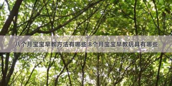 八个月宝宝早教方法有哪些 8个月宝宝早教玩具有哪些