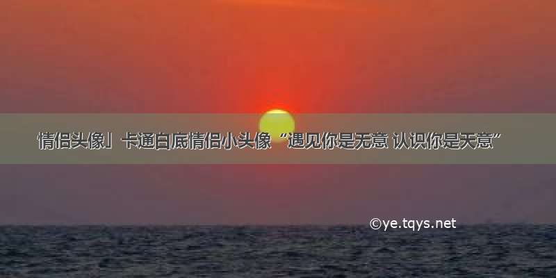 情侣头像」卡通白底情侣小头像“遇见你是无意 认识你是天意”