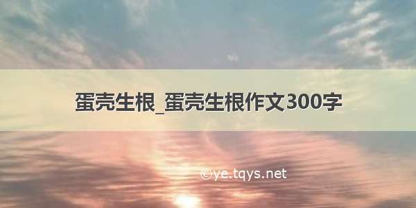 蛋壳生根_蛋壳生根作文300字