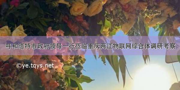 呼和浩特市政府领导一行莅临重庆两江物联网综合体调研考察