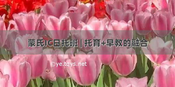 蒙氏IC日托班 | 托育+早教的融合