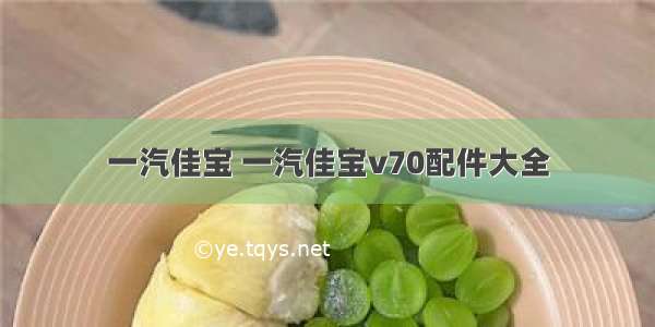 一汽佳宝 一汽佳宝v70配件大全