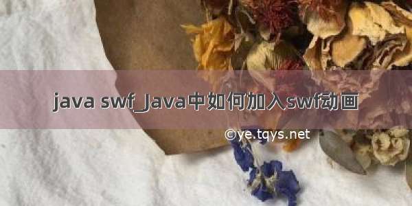 java swf_Java中如何加入swf动画
