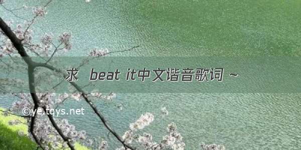 求  beat it中文谐音歌词 ~