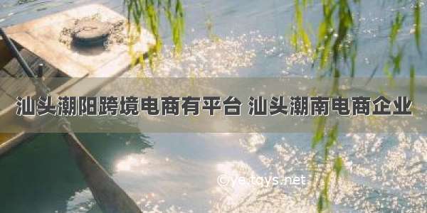 汕头潮阳跨境电商有平台 汕头潮南电商企业