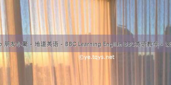 Catch Up 朋友小聚 - 地道英语 - BBC Learning English BBC英语教学 - 爱思英语网