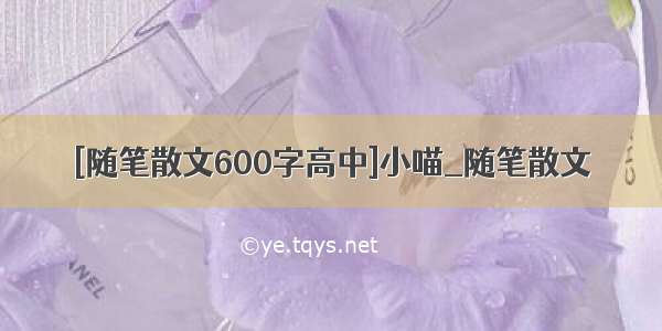 [随笔散文600字高中]小喵_随笔散文