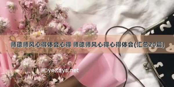 师德师风心得体会心得 师德师风心得心得体会(汇总20篇)