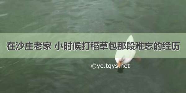 在沙庄老家 小时候打稻草包那段难忘的经历