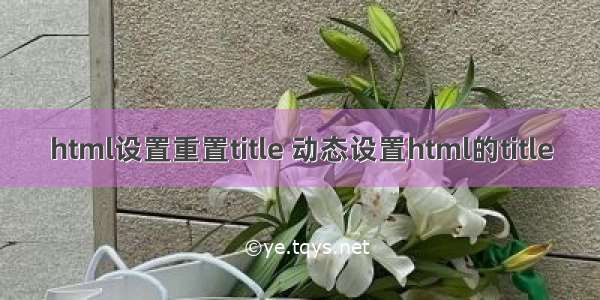 html设置重置title 动态设置html的title