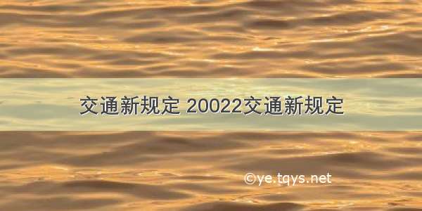 交通新规定 20022交通新规定