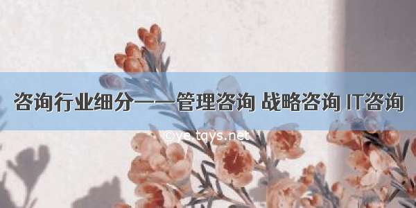 咨询行业细分——管理咨询 战略咨询 IT咨询