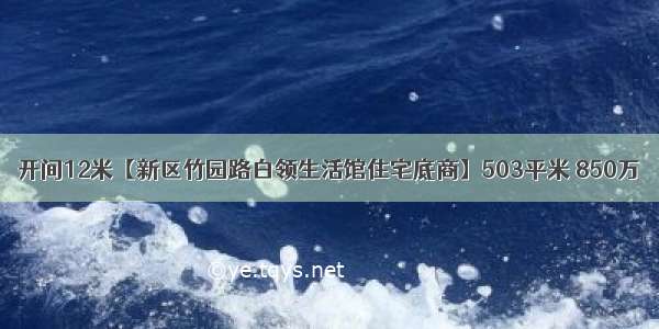 开间12米【新区竹园路白领生活馆住宅底商】503平米 850万