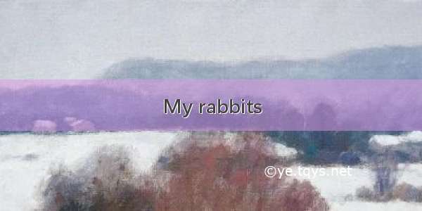 My rabbits