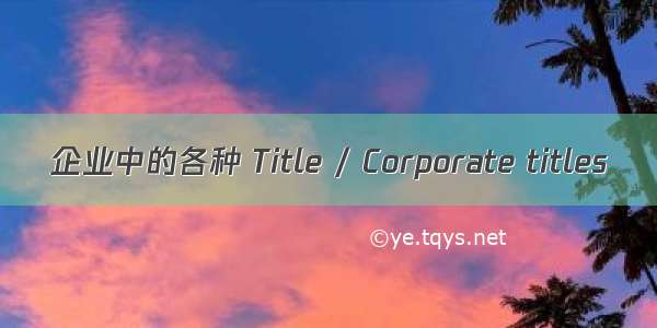 企业中的各种 Title / Corporate titles