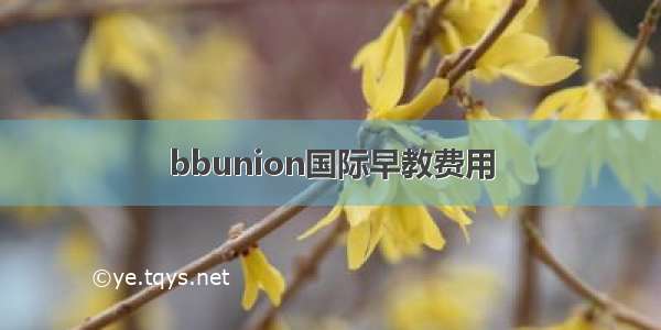 bbunion国际早教费用