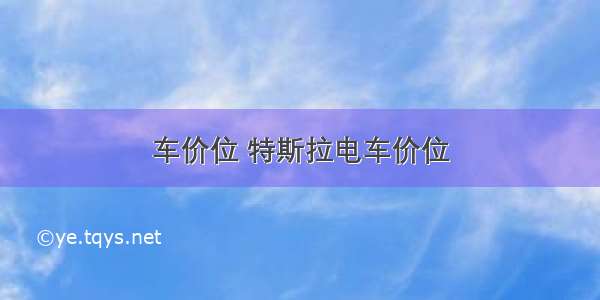 车价位 特斯拉电车价位