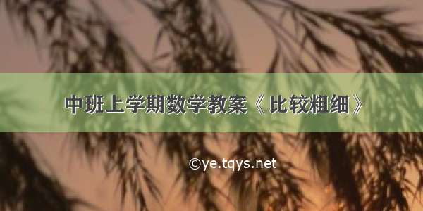 中班上学期数学教案《比较粗细》