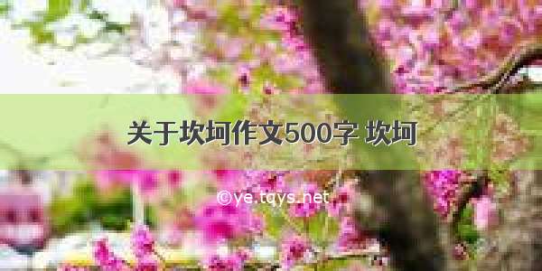 关于坎坷作文500字 坎坷