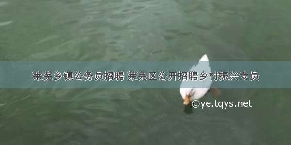 莱芜乡镇公务员招聘 莱芜区公开招聘乡村振兴专员